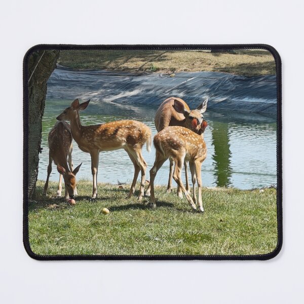 Item preview, Deer designed and sold by stuffinthings82.