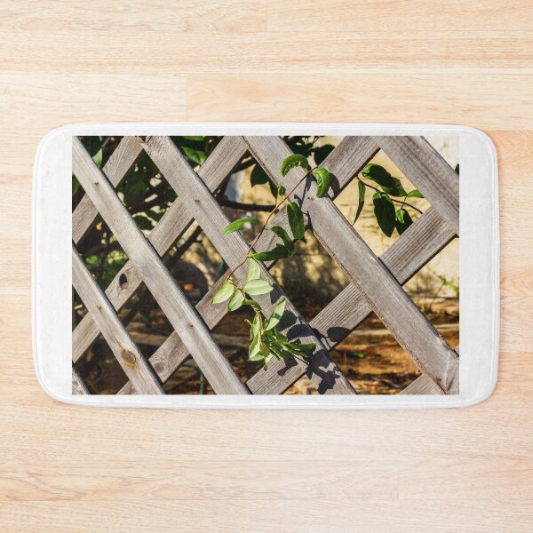 Item preview, Sunlit Wooden Lattice Fence With Ivy Growing Through Crisscross Panels designed and sold by Nmallia.