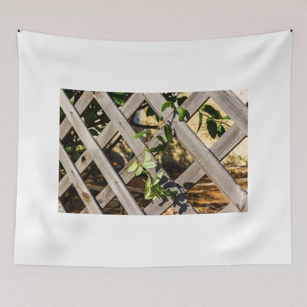 Item preview, Sunlit Wooden Lattice Fence With Ivy Growing Through Crisscross Panels designed and sold by Nmallia.