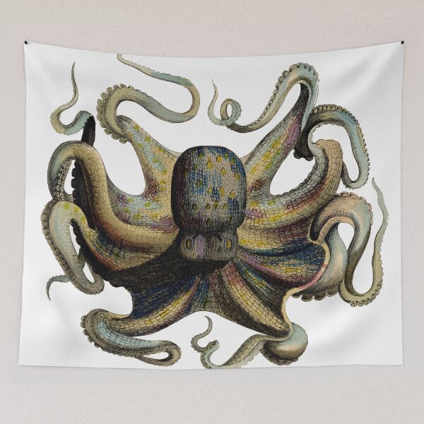 Artikelvorschau, Vintage-Oktopus-Wandbild, antike Meereskreaturen-Illustration, nautische Bilderbuchkunst entworfen und verkauft von RickE.