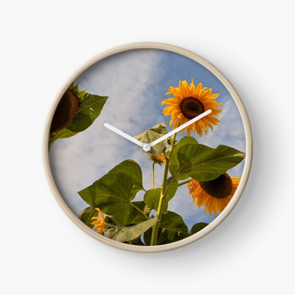 Item preview, Sunflowers Against Blue Sky, floral photography designed and sold by PrettyAround.