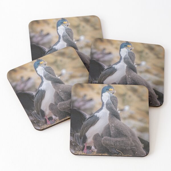 Item preview, Cormorant with Chicks on Nest Falkland Islands designed and sold by PhotoArt by Joan Carroll.