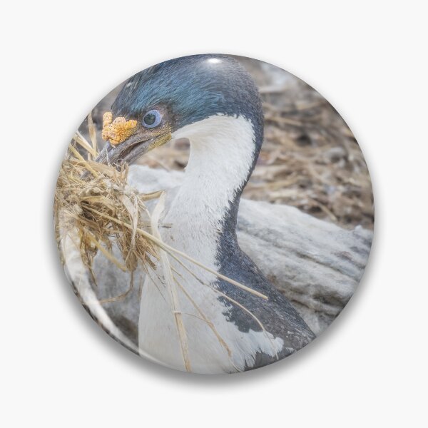 Item preview, Cormorant Collecting Nesting Material designed and sold by PhotoArt by Joan Carroll.