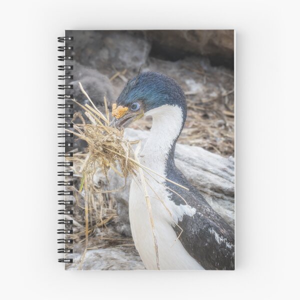 Item preview, Cormorant Collecting Nesting Material designed and sold by PhotoArt by Joan Carroll.