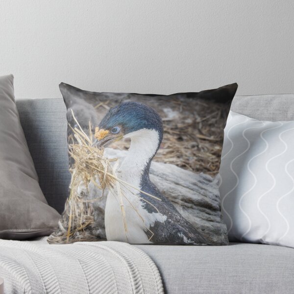 Item preview, Cormorant Collecting Nesting Material designed and sold by PhotoArt by Joan Carroll.