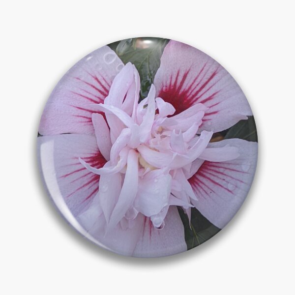 Item preview, Double Rose of Sharon Blooms, Layered Garden Photography designed and sold by PrettyAround.
