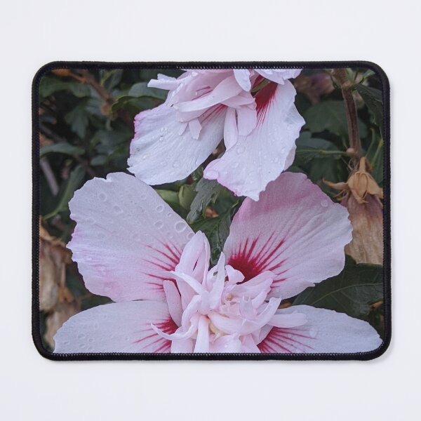 Item preview, Double Rose of Sharon Blooms, Layered Garden Photography designed and sold by PrettyAround.
