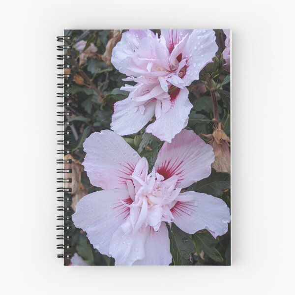 Item preview, Double Rose of Sharon Blooms, Layered Garden Photography designed and sold by PrettyAround.