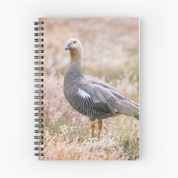 Item preview, Solitary Goose in Meadow designed and sold by PhotoArt by Joan Carroll.
