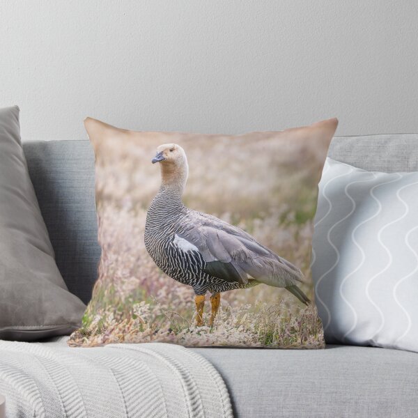 Item preview, Solitary Goose in Meadow designed and sold by PhotoArt by Joan Carroll.
