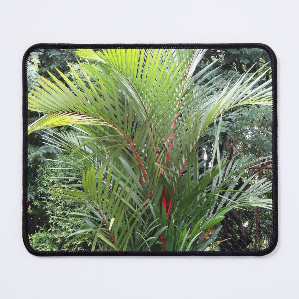 Item preview, Red Lipstick Palm designed and sold by GardenGrove75.