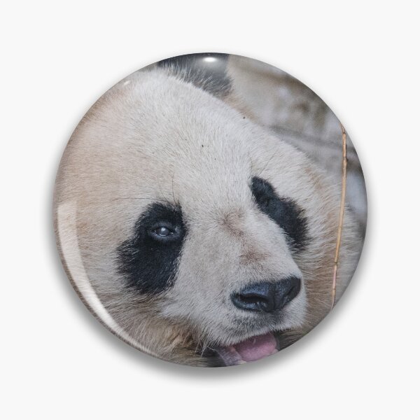 Item preview, Panda bear designed and sold by XaviFotografia.