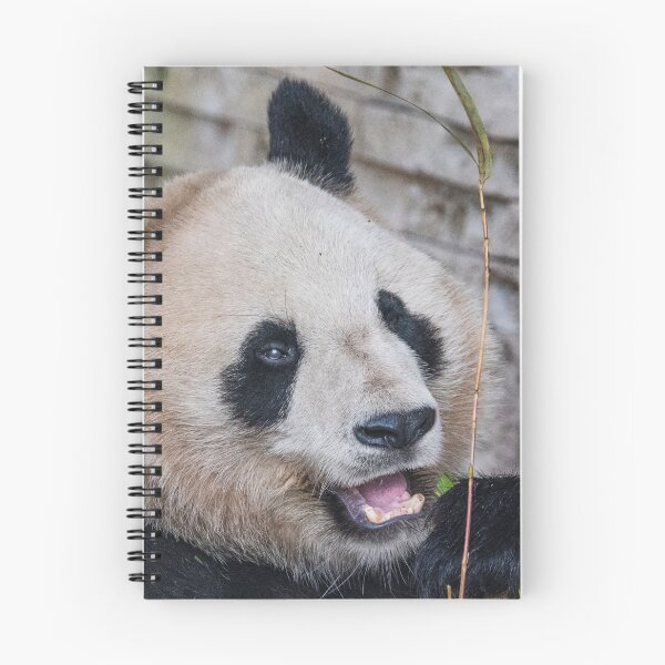 Item preview, Panda bear designed and sold by XaviFotografia.
