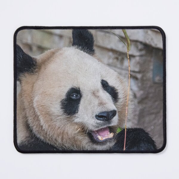 Item preview, Panda bear designed and sold by XaviFotografia.