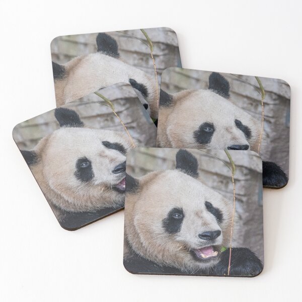 Item preview, Panda bear designed and sold by XaviFotografia.