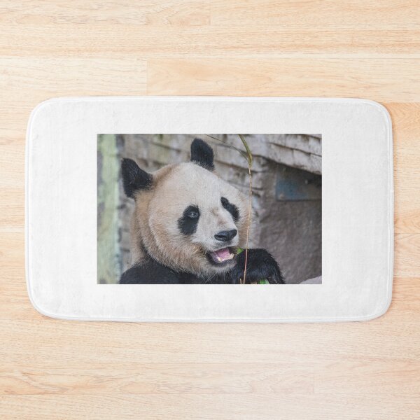 Item preview, Panda bear designed and sold by XaviFotografia.
