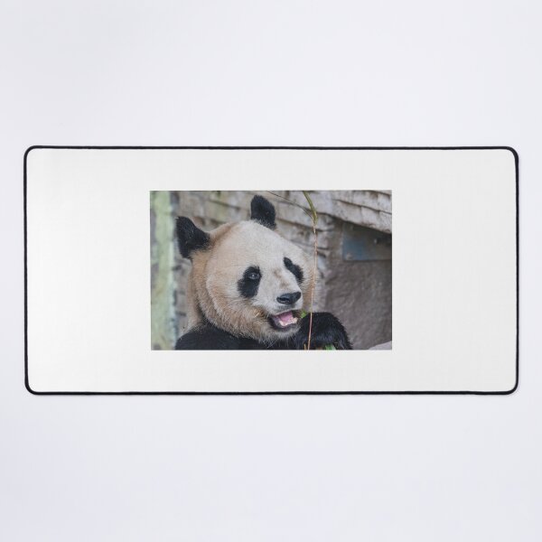 Item preview, Panda bear designed and sold by XaviFotografia.