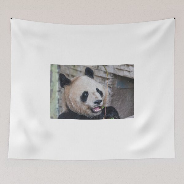 Item preview, Panda bear designed and sold by XaviFotografia.