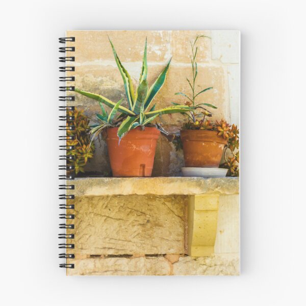 Item preview, Three Potted Succulents on Rustic Stone Shelf Against Warm Brick Wall designed and sold by Nmallia.