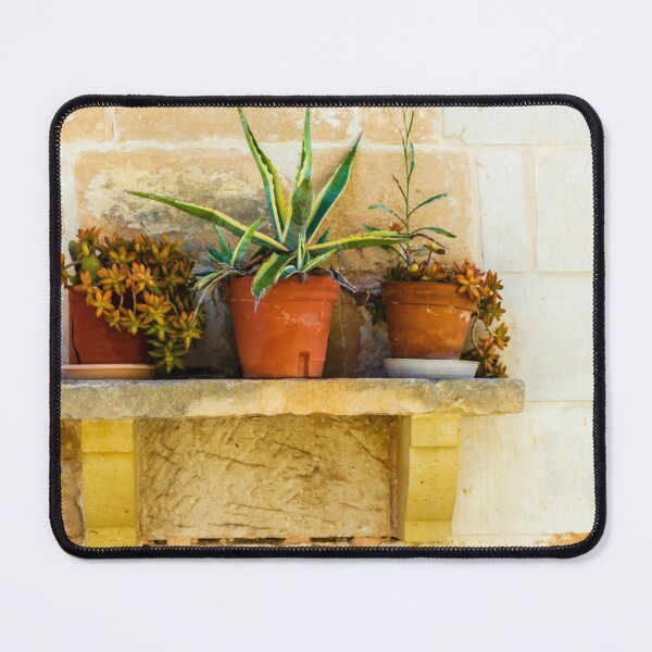 Item preview, Three Potted Succulents on Rustic Stone Shelf Against Warm Brick Wall designed and sold by Nmallia.