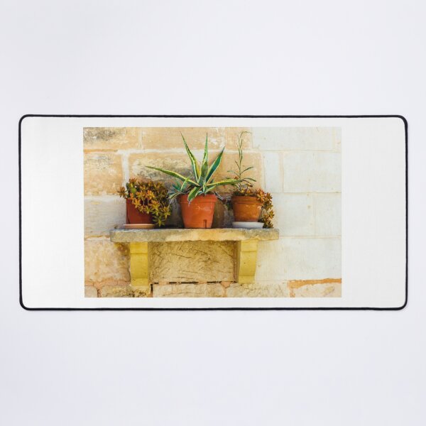 Item preview, Three Potted Succulents on Rustic Stone Shelf Against Warm Brick Wall designed and sold by Nmallia.