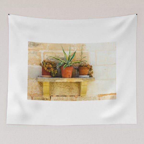 Item preview, Three Potted Succulents on Rustic Stone Shelf Against Warm Brick Wall designed and sold by Nmallia.