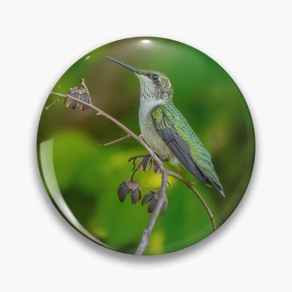 Item preview, Portrait of a Hummingbird  designed and sold by Lanis Rossi.