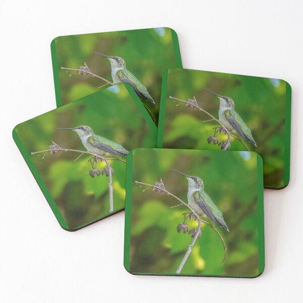 Item preview, Portrait of a Hummingbird  designed and sold by Lanis Rossi.