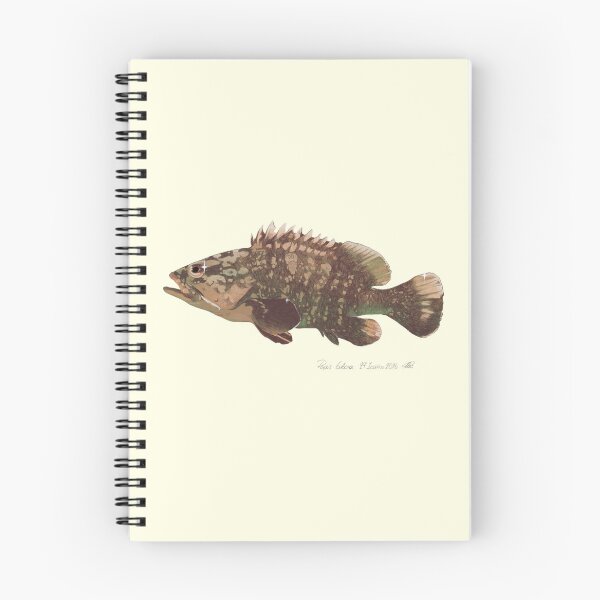 Item preview, Grouper Greek designed and sold by apollonia-.