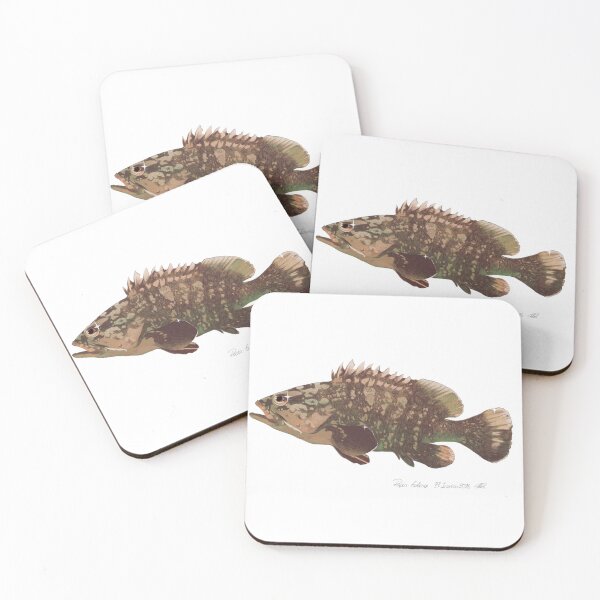 Item preview, Grouper Greek designed and sold by apollonia-.