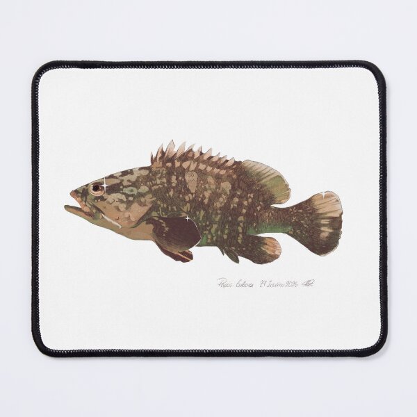 Item preview, Grouper Greek designed and sold by apollonia-.