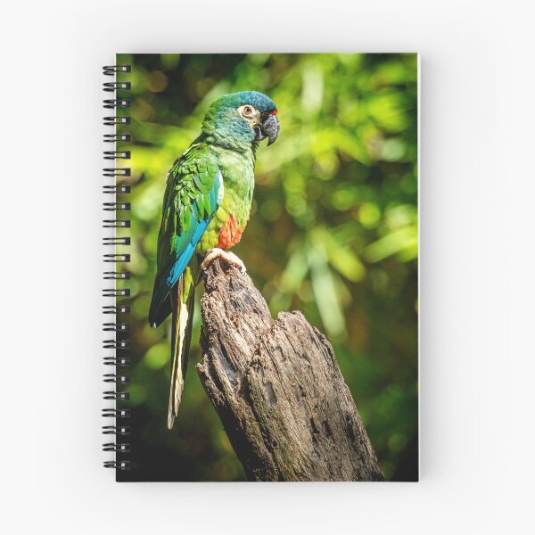Item preview, Brazil Parrot Photo Print – Tropical Bird Wall Art designed and sold by Craig Bernstein.