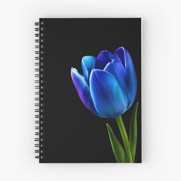 Item preview, Midnight Blue Tulip designed and sold by Kimberly Palmer.