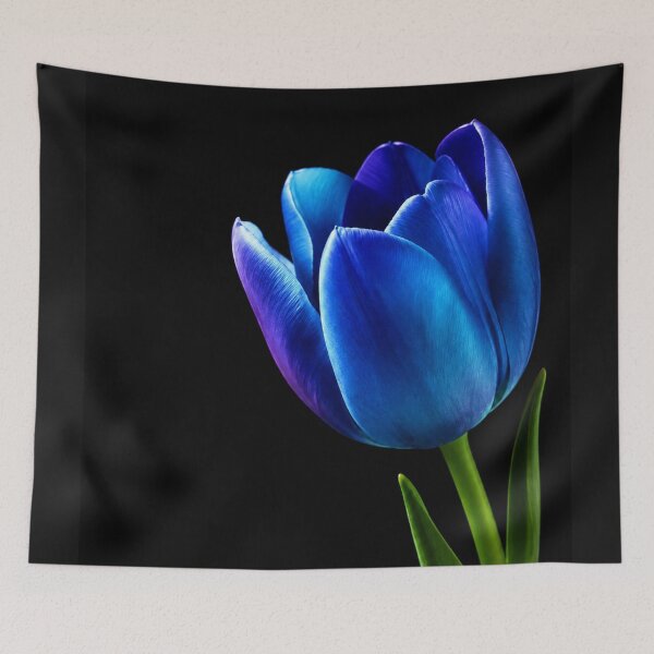 Item preview, Midnight Blue Tulip designed and sold by Kimberly Palmer.