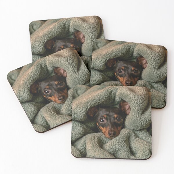 Item preview, Minitiature Pinscher in Blanket 01 designed and sold by Elisabeth Lucas.