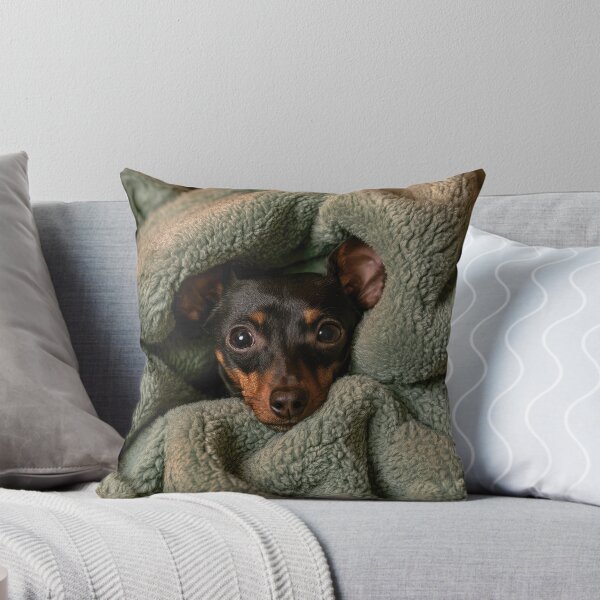 Item preview, Minitiature Pinscher in Blanket 01 designed and sold by Elisabeth Lucas.