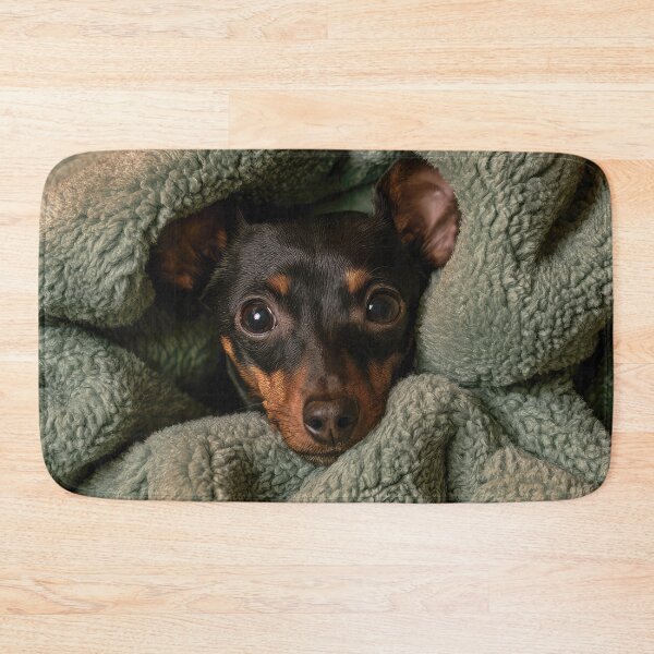 Item preview, Minitiature Pinscher in Blanket 01 designed and sold by Elisabeth Lucas.