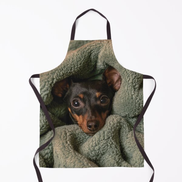 Item preview, Minitiature Pinscher in Blanket 01 designed and sold by Elisabeth Lucas.