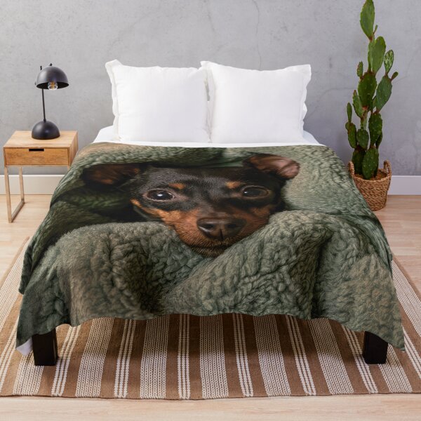 Item preview, Minitiature Pinscher in Blanket 01 designed and sold by Elisabeth Lucas.