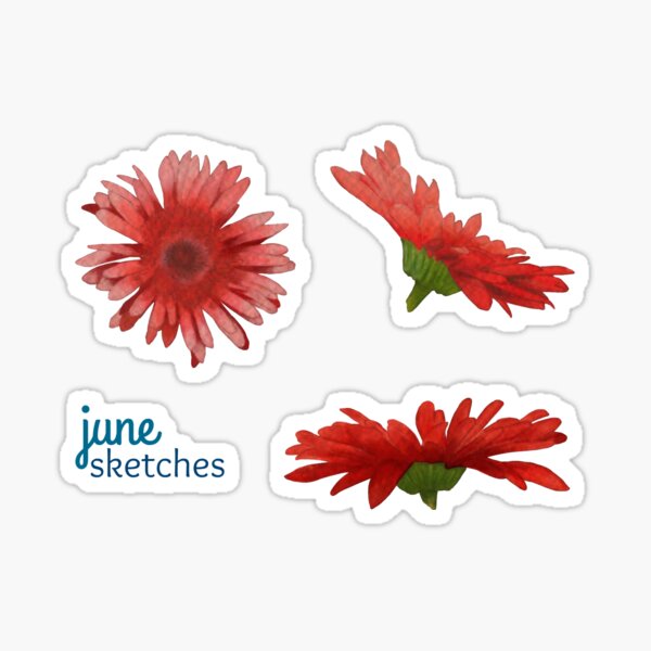 Gerbera Flowers | Sticker Sheet Sticker