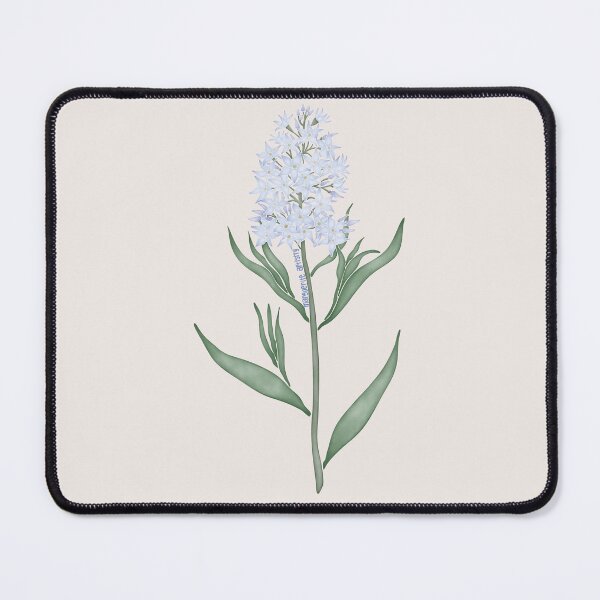 Item preview, Watercolor Texas Bluestar Flower- Texas Native Flower designed and sold by Marguerite Artistry.
