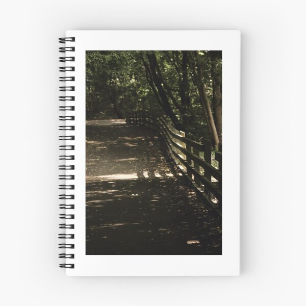 Item preview, Sunlit wooden path designed and sold by thisreverie.