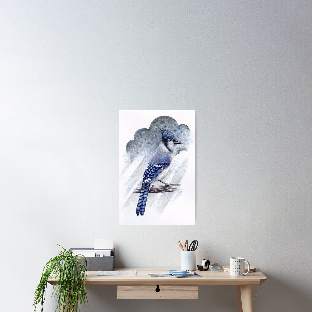 Blue Jay Poster