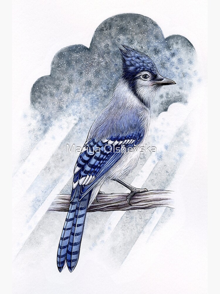 Blue Jay by OzureFlame