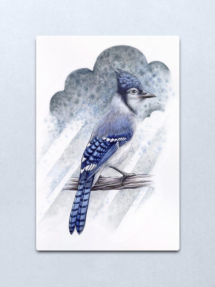 Alternate view of Blue Jay Metal Print