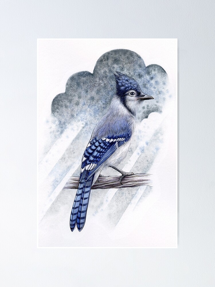 Alternate view of Blue Jay Poster