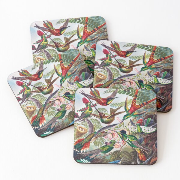 Item preview, Vintage Hummingbird Nature Illustration Art -Trochilidae–Kolibris from Kunstformen der Natur  designed and sold by Gold Turtle  Lina.