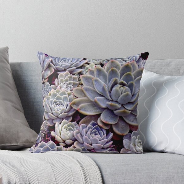 Item preview, Succulents designed and sold by MsKimberly.