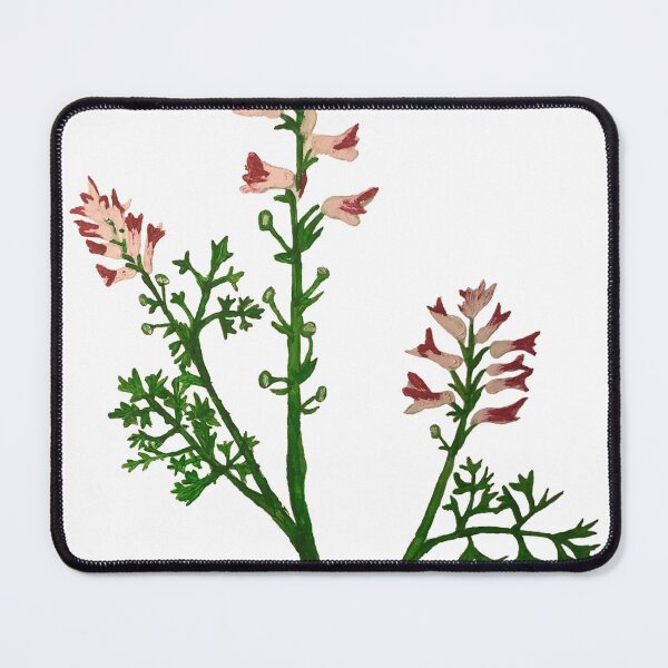 Item preview, Common Fumitory - Fumaria officialis designed and sold by kindbotanicals.