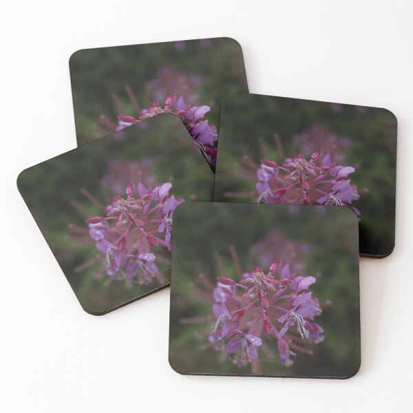 Item preview, Pink Flower with Raindrops Macro Details designed and sold by Pajacoom.